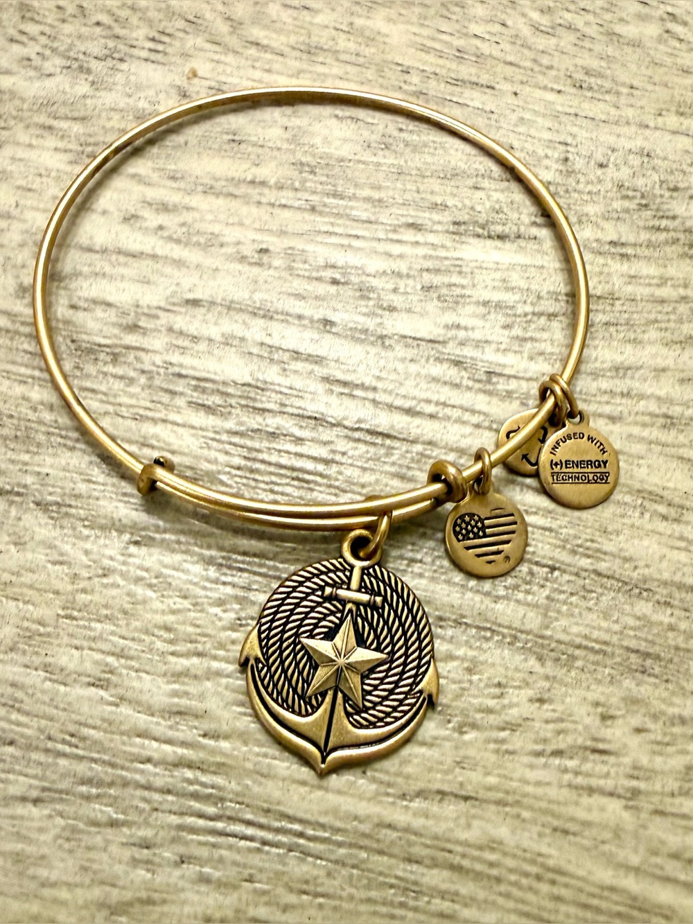 Alex and Ani Gold-Tone Anchor Star Charm Bangle Bracelet